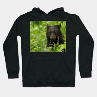 Wet Black Bear Hoodie